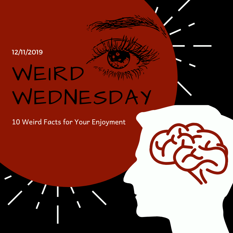 Weird Wednesdays - 1O Weird Facts For Your Enjoyment